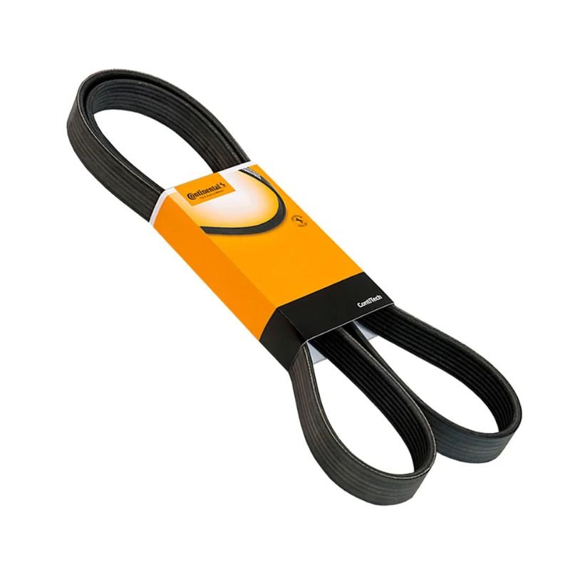 Correa 6pk 2272
