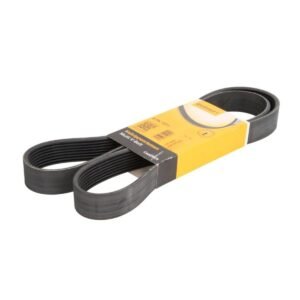 Correa de la Bomba de Agua  8PK1371 Atego 1016 ,  Atego 813-Continental