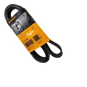 Correa 6pk 1555