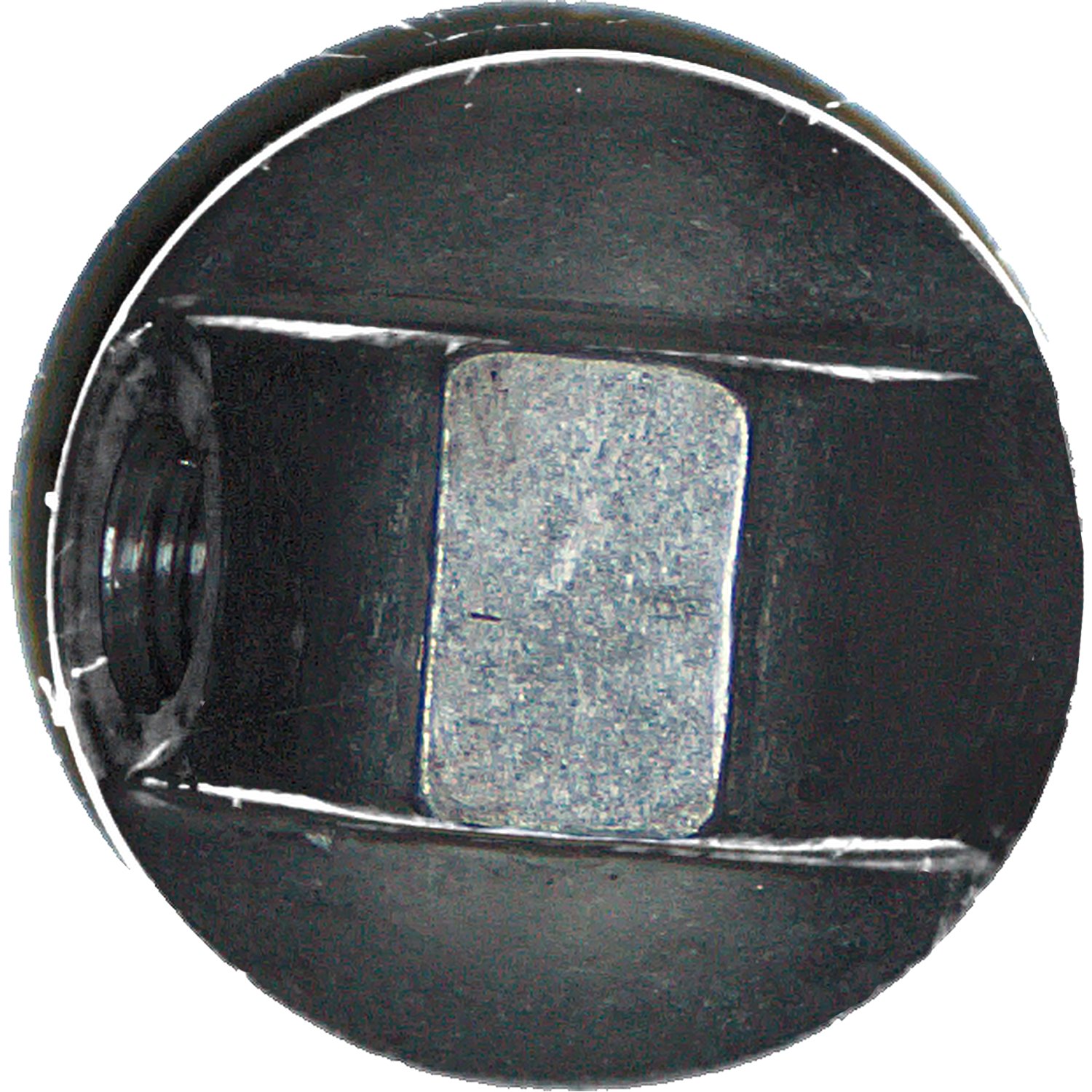 Cilindro Neumático Freno de Ahogo Scania K310/K360/K400/K410/K440-Febi - Imagen 2
